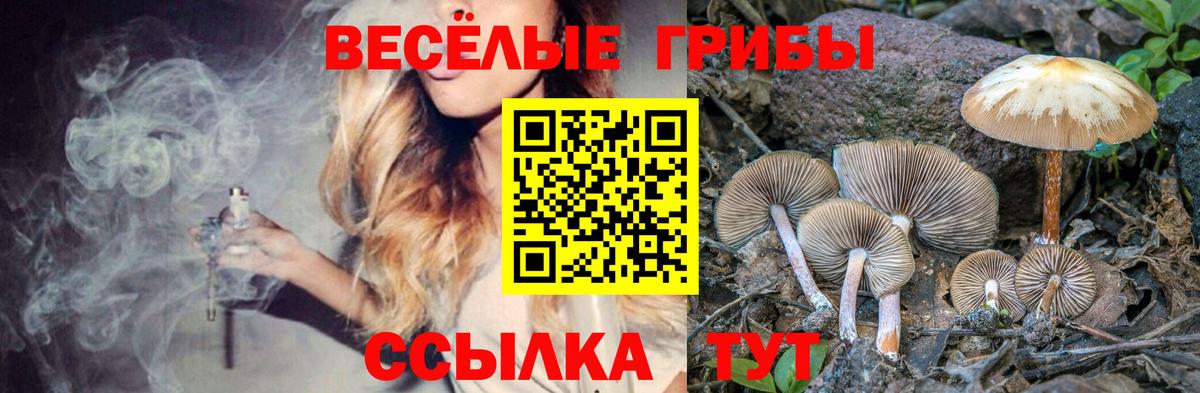 Галлюциногенные грибы Psilocybe  Вход с VPN  Кострома 